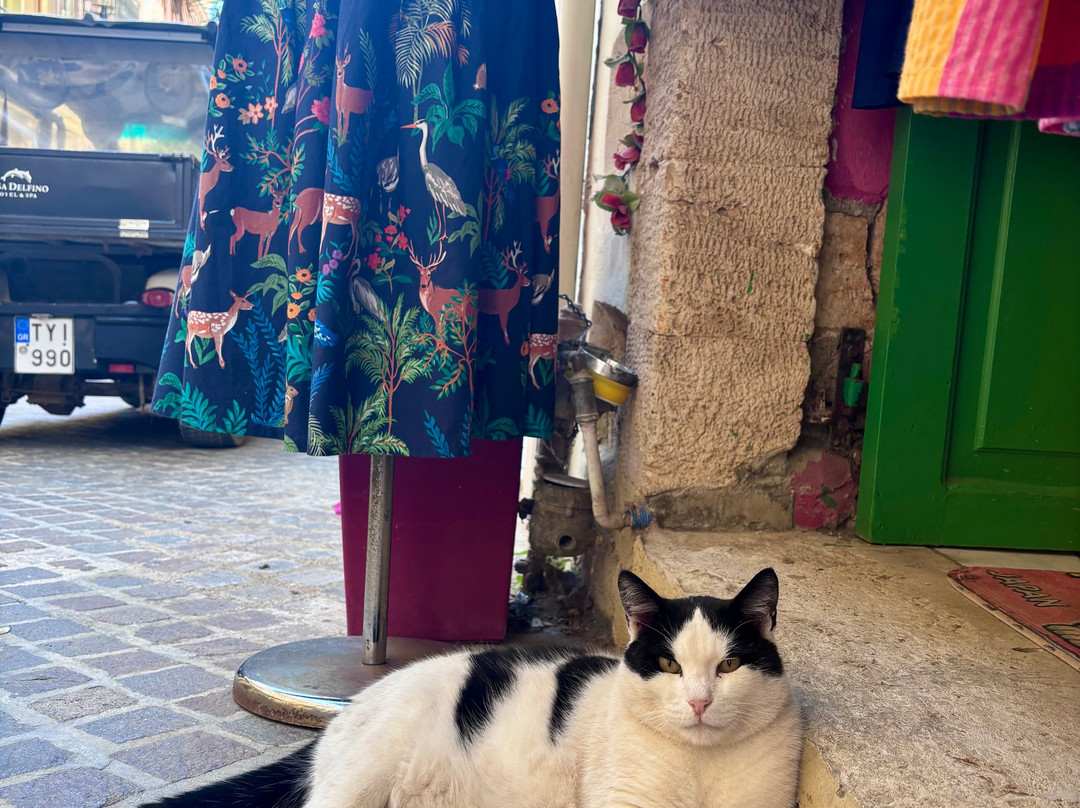 Chania Old Town-干尼亚必去景点