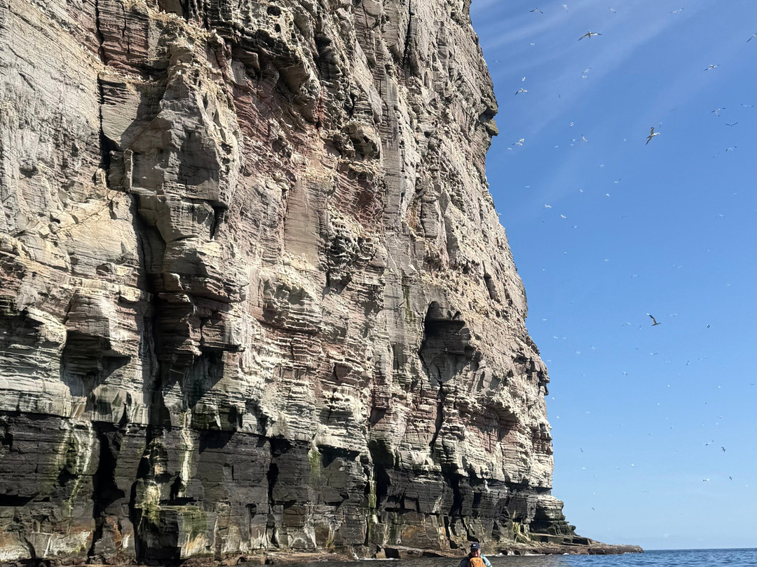 Sea Kayak Shetland-Lerwick必去景点