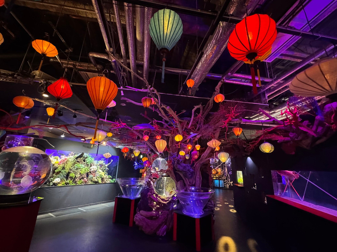 Uws Aquarium Ga Kyo-Daiba必去景点