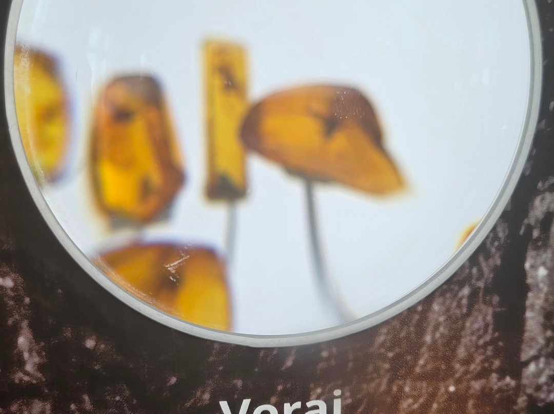 Palanga Amber Museum-帕兰加必去景点