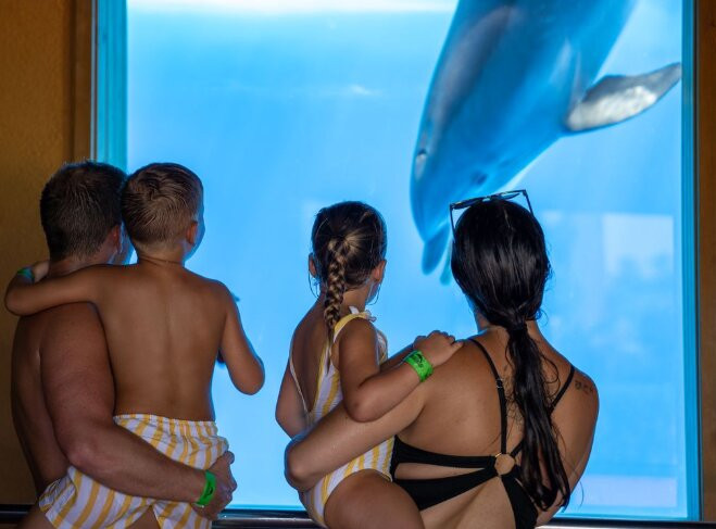 Marineland Catalunya-Palafolls必去景点