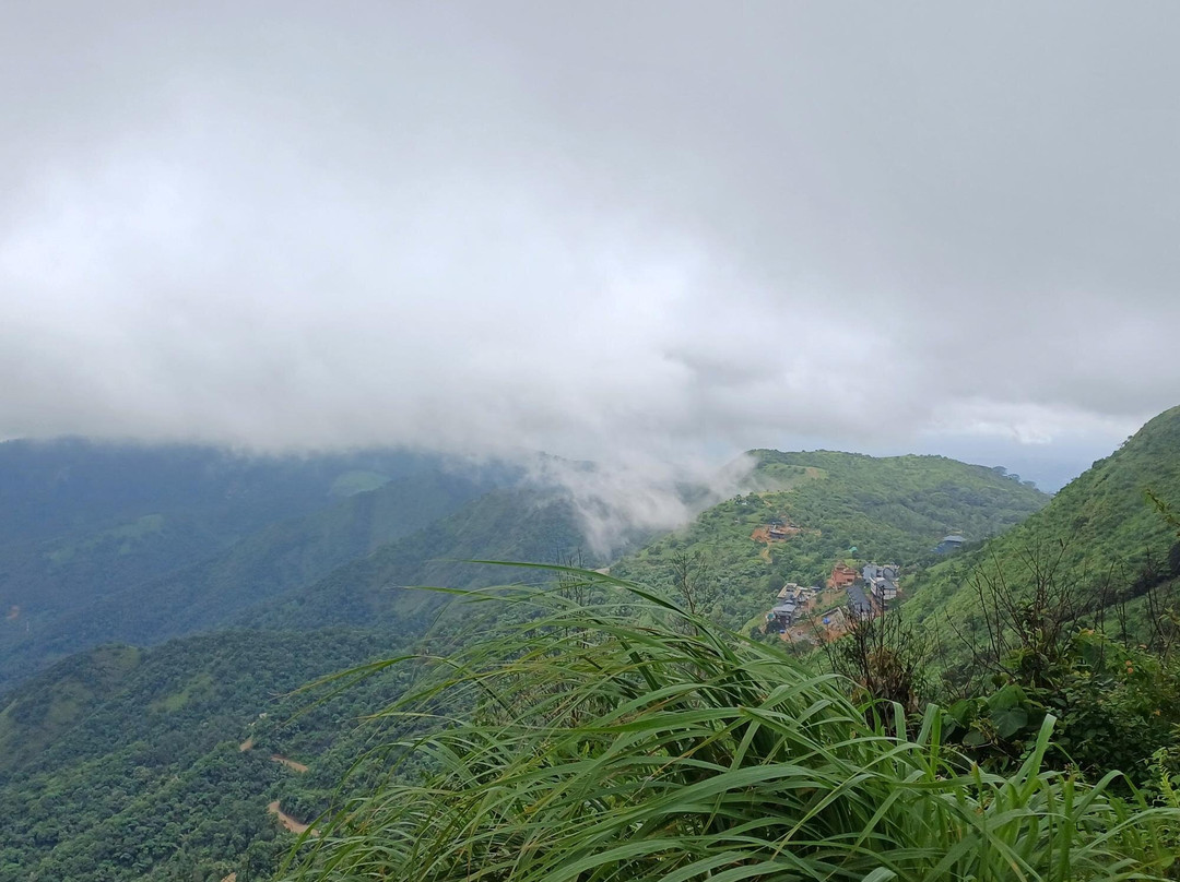 Paradise Holidays-柯钦必去景点