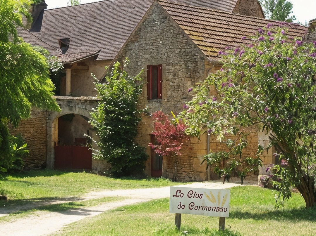Le Clos de Carmensac主图
