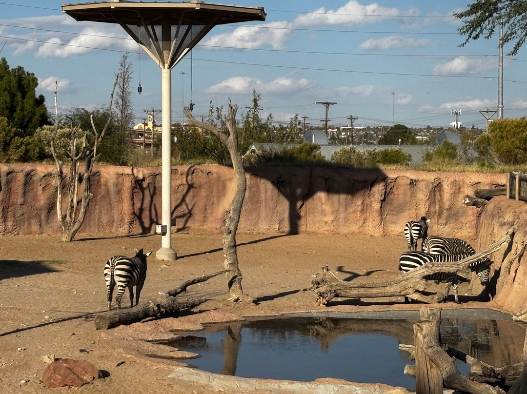 El Paso Zoo-埃尔帕索必去景点