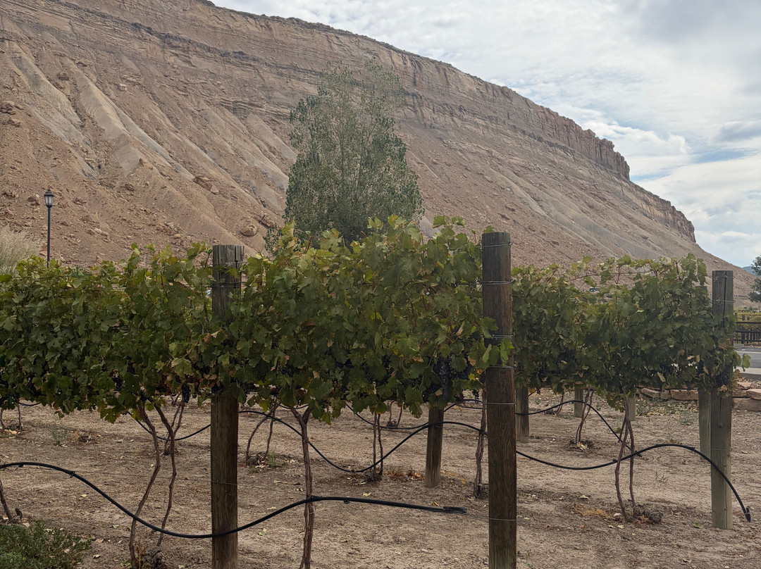 Grande River Vineyards & Winery-Palisade必去景点