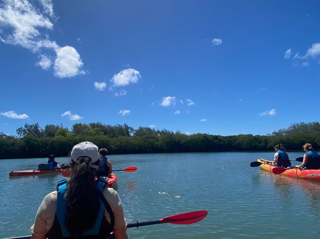Sea Kayak Adventures-毛里求斯必去景点
