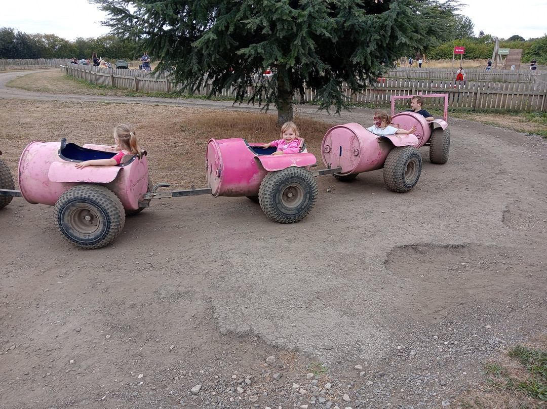 Piglets Adventure Farm-约克必去景点