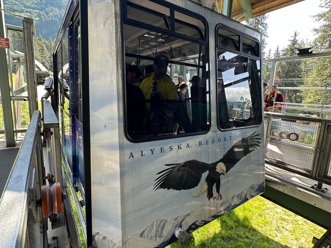 Alyeska Aerial Tramway-戈德伍德必去景点