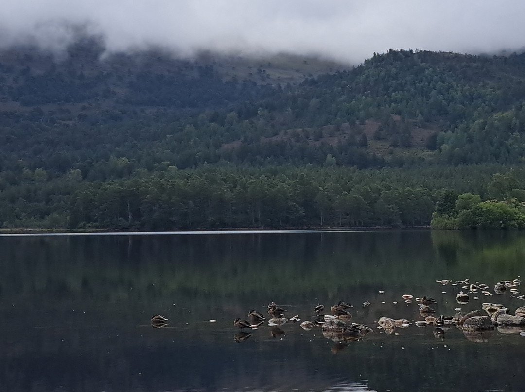 Loch an Eilein-阿维莫尔必去景点