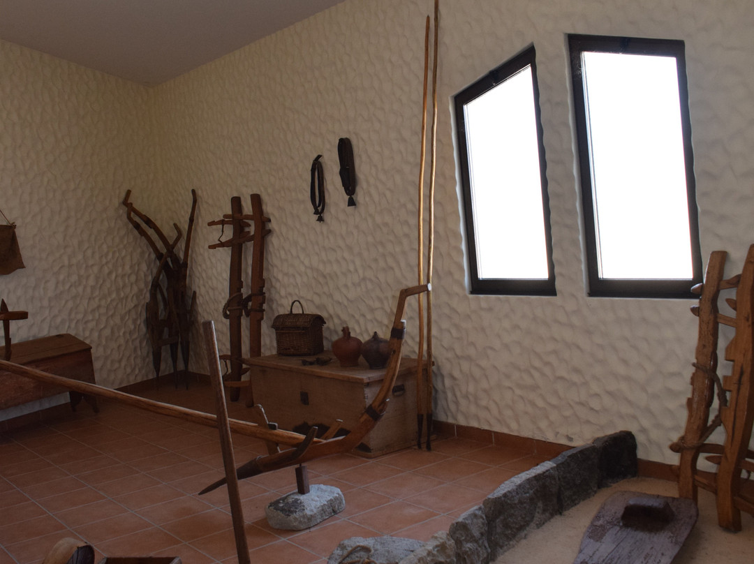 Museu do Cardina-Porto Santo Island必去景点