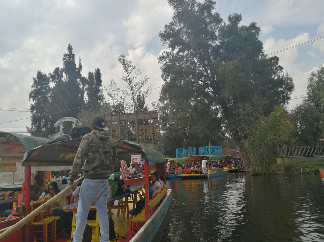Floating Gardens of Xochimilco-墨西哥城必去景点