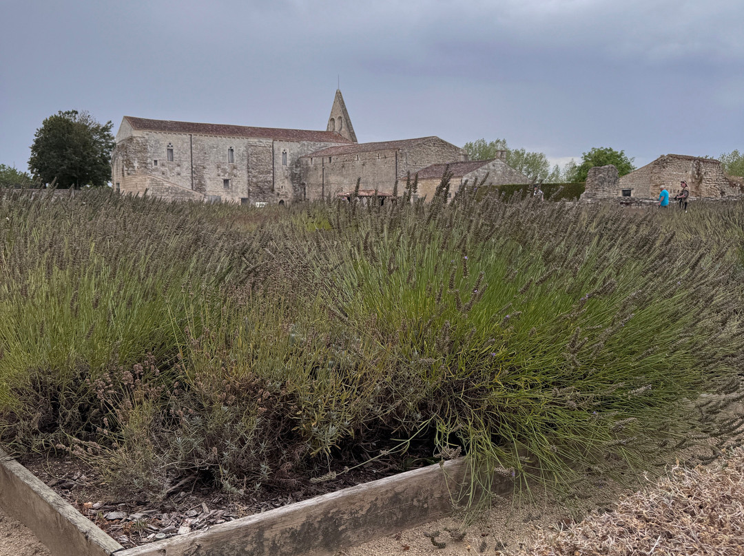 Abbaye de Maillezais-Maillezais必去景点