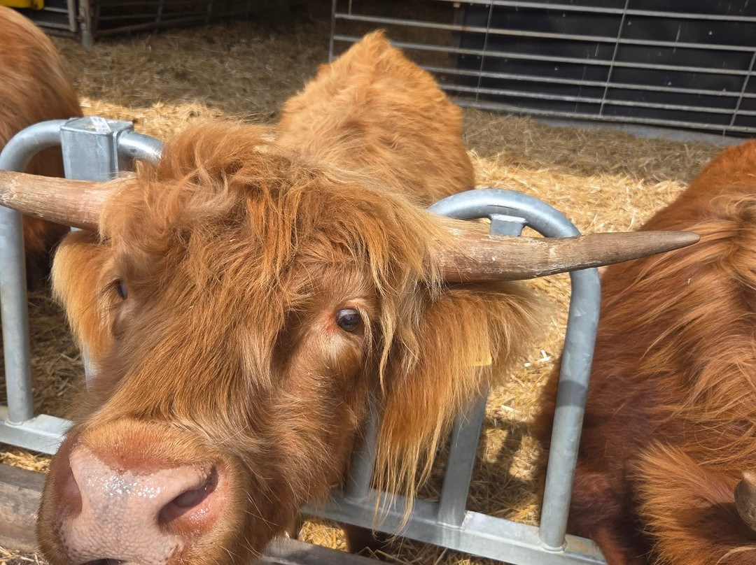 Dumble Farm Conservation-比弗利必去景点