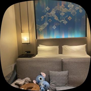 楠榜科达顿丽笙酒店-客卧