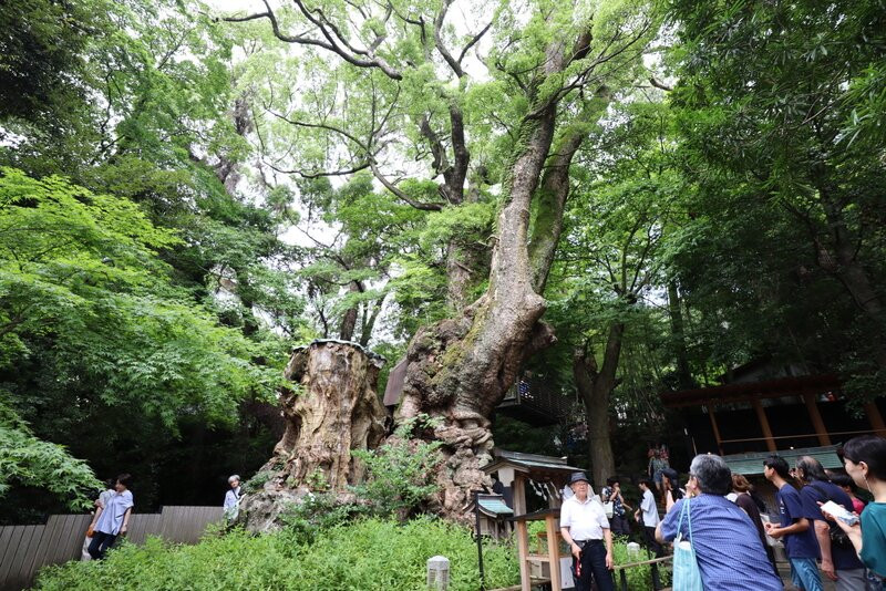 来宫神社-热海市必去景点