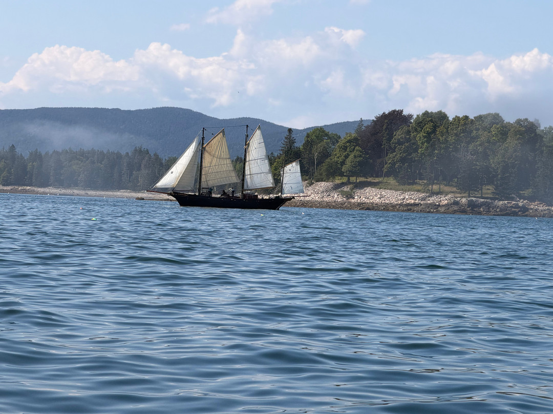 Sail Acadia-Southwest Harbor必去景点