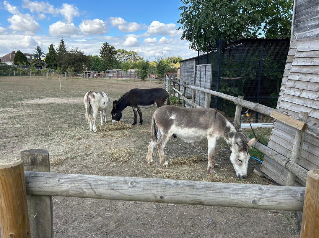 Hopefield Animal Sanctuary & Visitor Centre-布伦特伍德必去景点