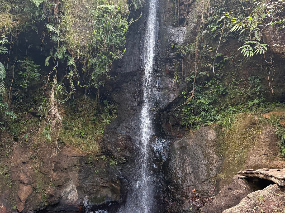 Flores Experience-Labuan Bajo必去景点