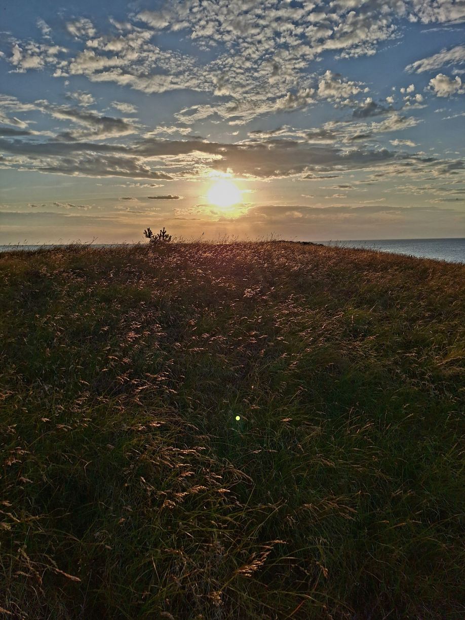 Kysthusene Gilleleje-旅行者