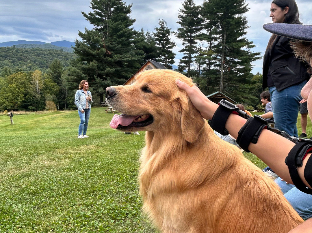 Golden Dog Farm-Jeffersonville必去景点