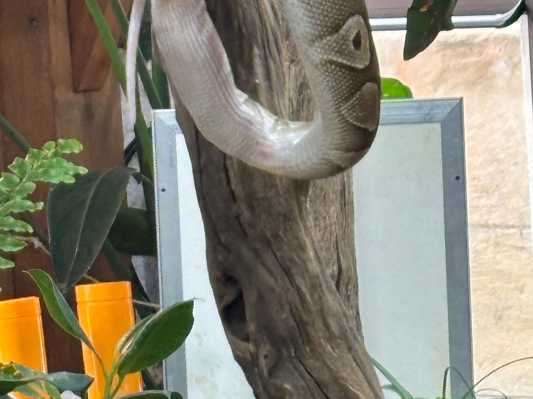 Padiparc - Parc Zoologique-Padirac必去景点