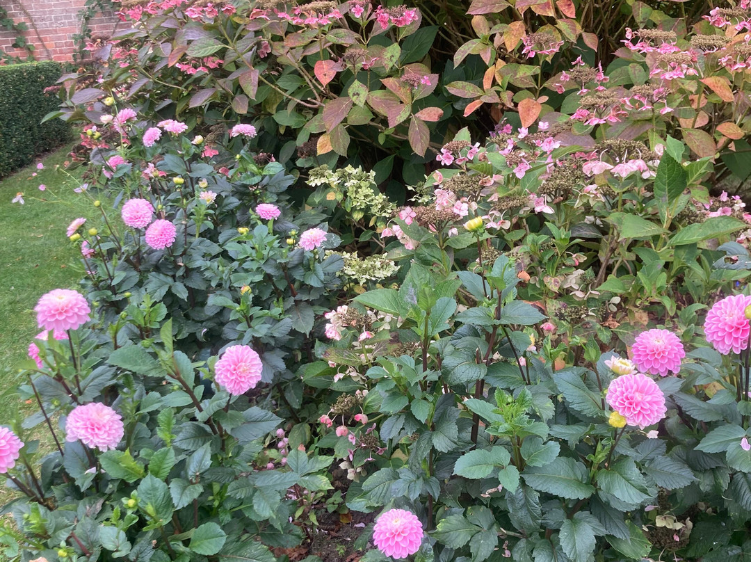Pashley Manor Gardens-Ticehurst必去景点