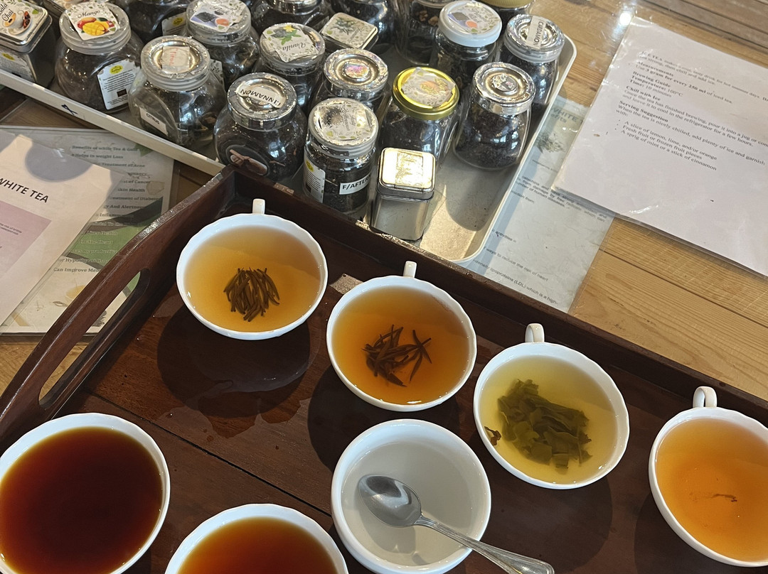 Pilimathalawa Tea Factory-Pilimathalawa必去景点