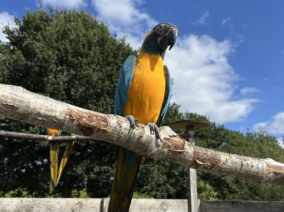 Wild Zoological Park-Bobbington必去景点