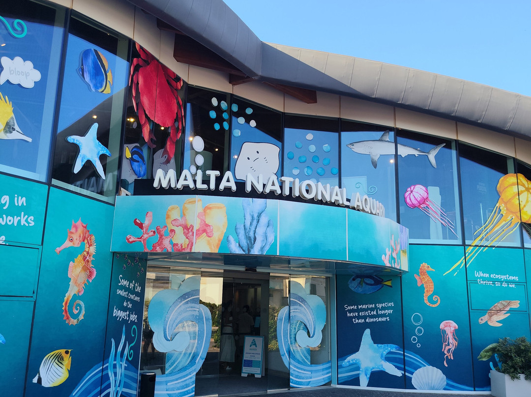 Malta National Aquarium-卡拉必去景点