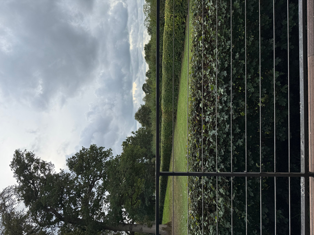 Kew Wakehurst-Haywards Heath必去景点