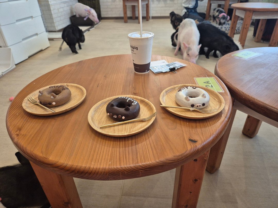 mipig cafe-Meguro必去景点