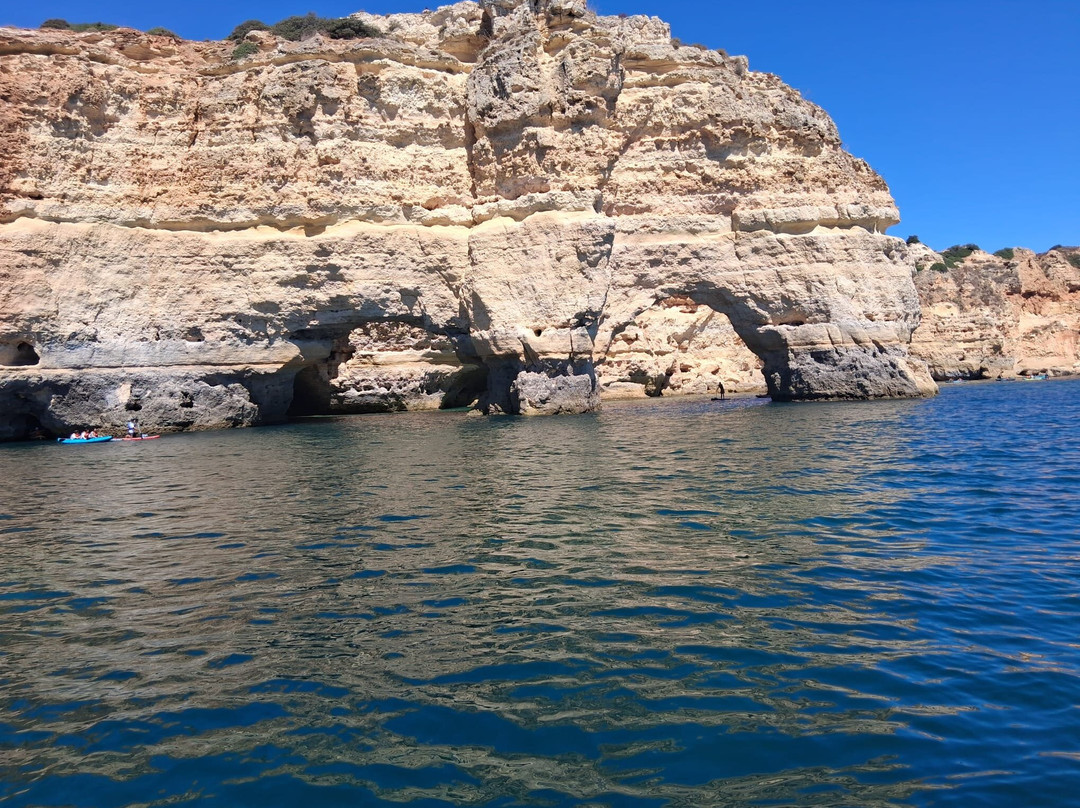 Wildwatch Algarve-费拉古多必去景点