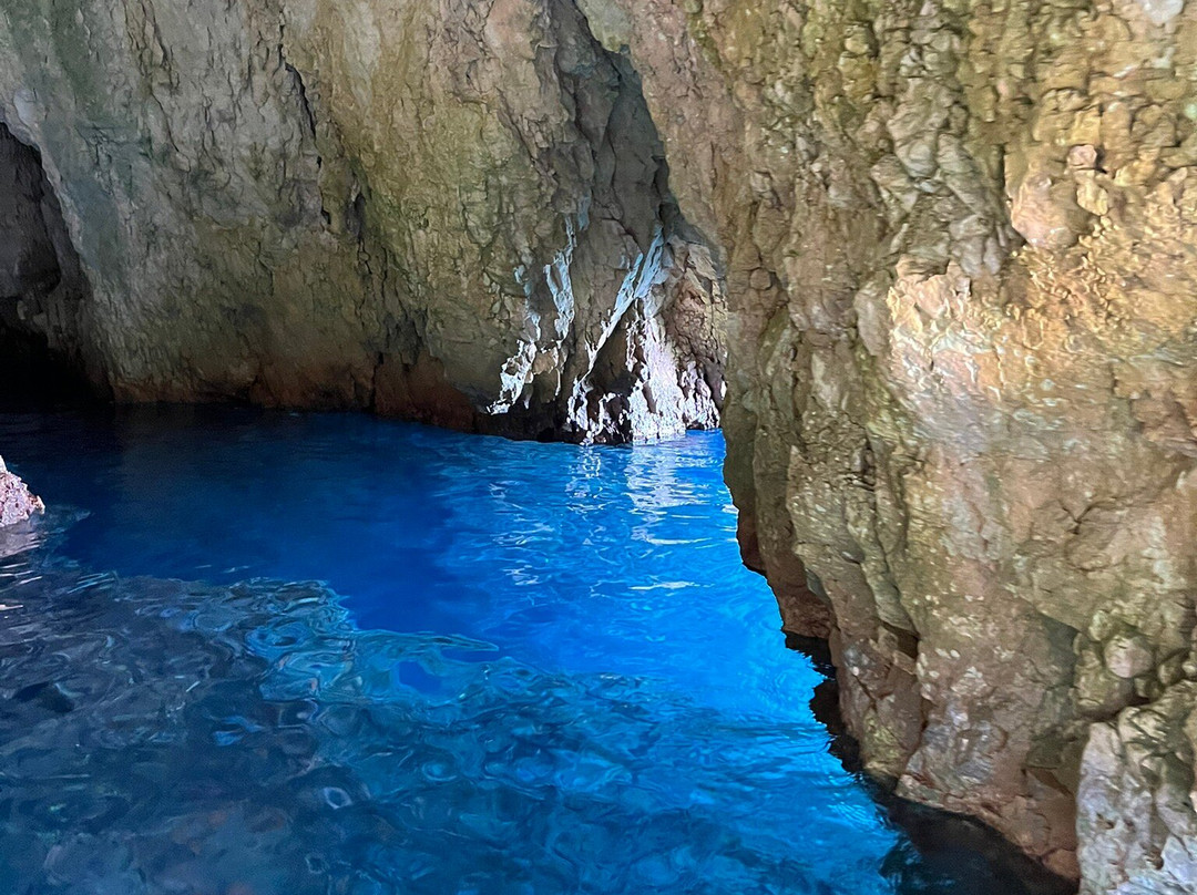 Zante Vipboats-阿雷克斯必去景点