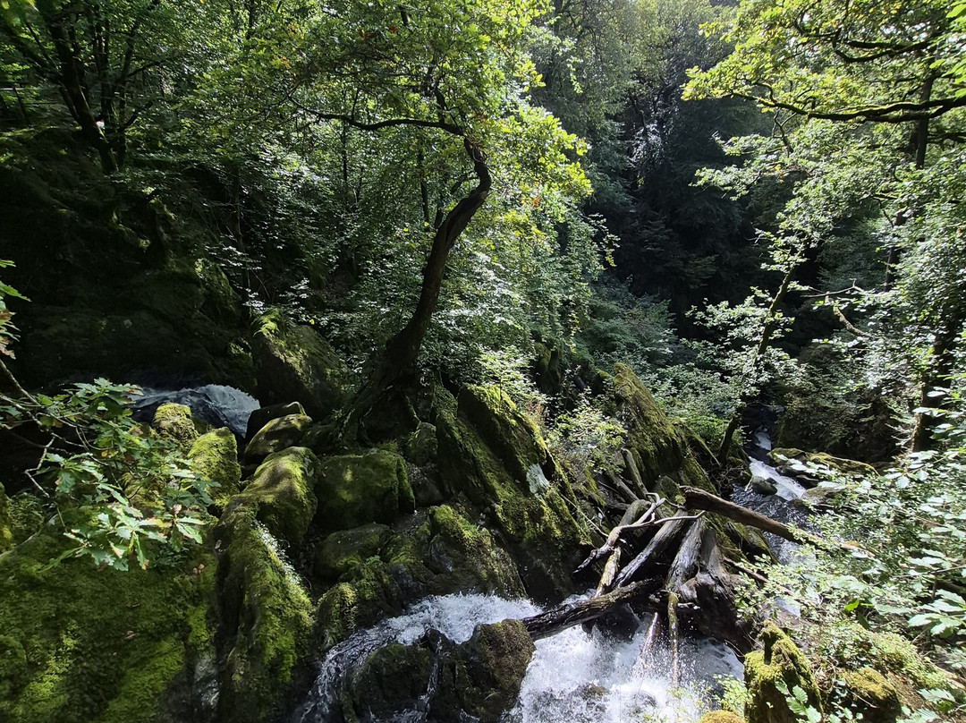 Stock Ghyll Force-安布赛德必去景点