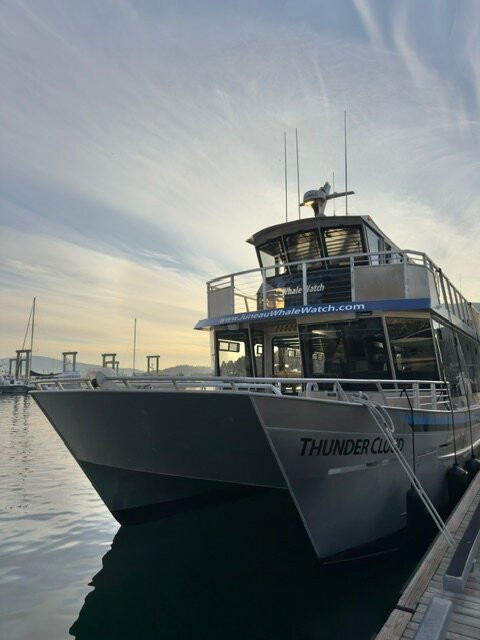 Juneau Tours & Whale Watch-朱诺必去景点