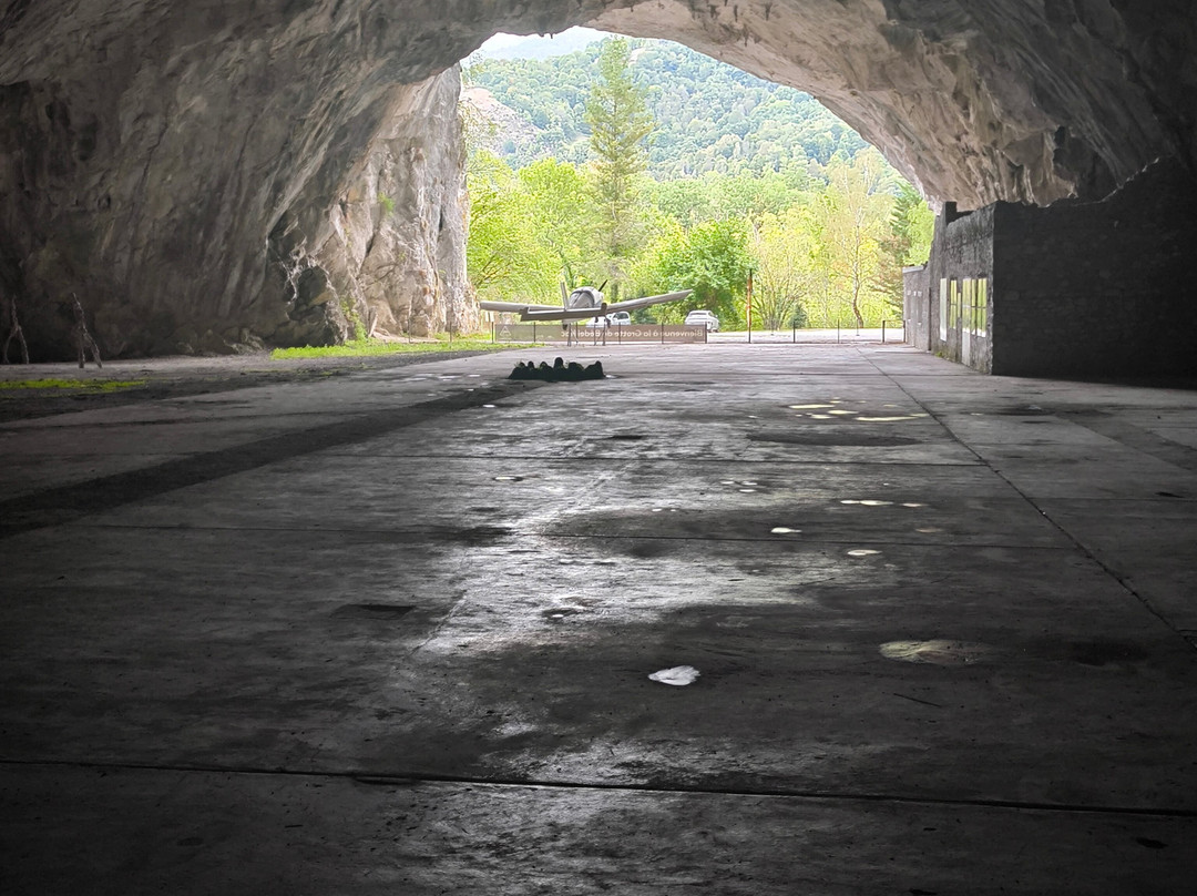 Grotte de Bedeilhac-Bedeilhac-et-Aynat必去景点