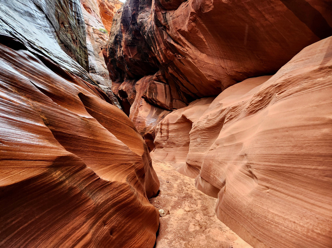Cardiac Canyon by Taadidiin Tours-佩吉必去景点
