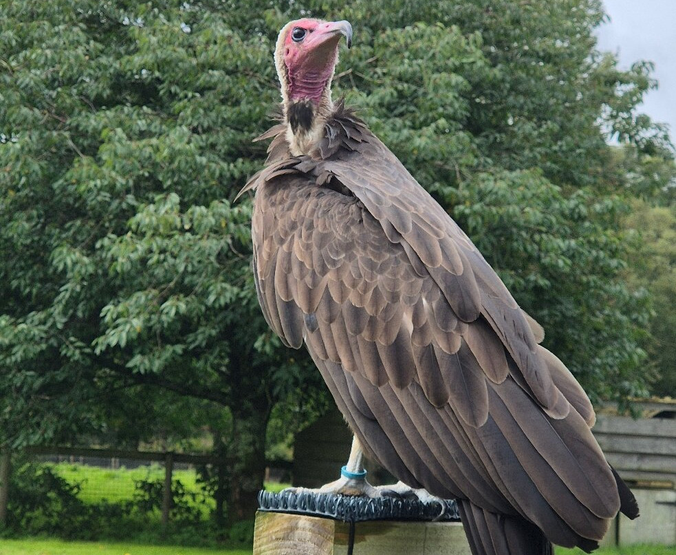 The Lake District Wildlife Park-Bassenthwaite必去景点