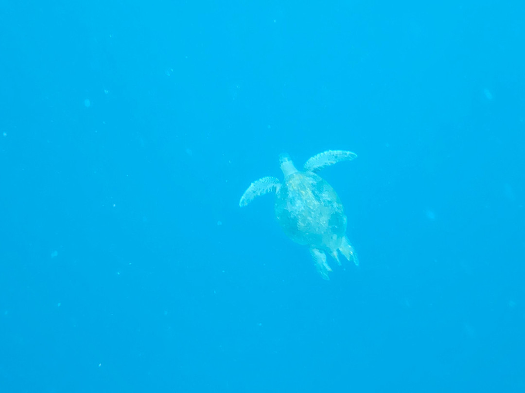 Eco-Challenger Galapagos Tour Agency-圣克里斯托瓦尔必去景点