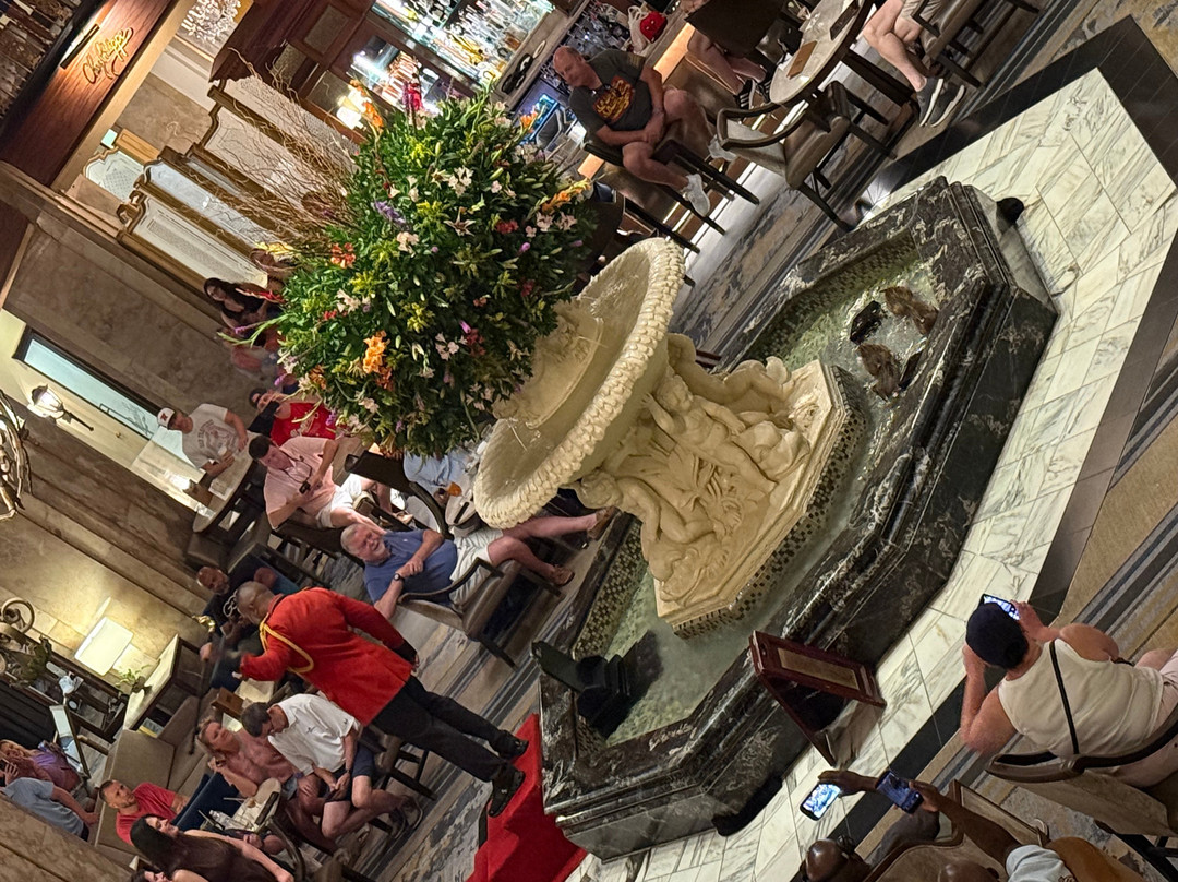 The Peabody Ducks-孟菲斯必去景点
