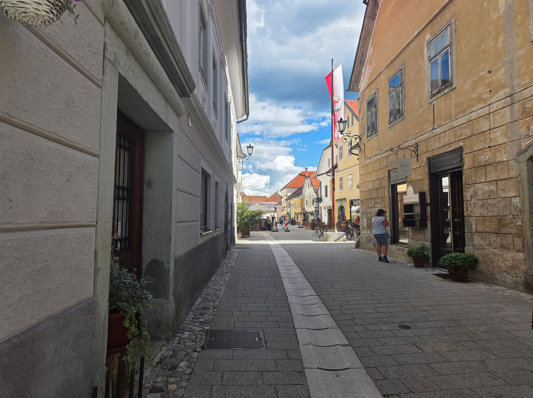 Radovljica Old Town-Radovljica必去景点