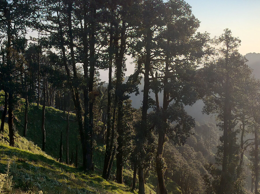 Nagtibba Trek With Abhishek-Pantwari必去景点