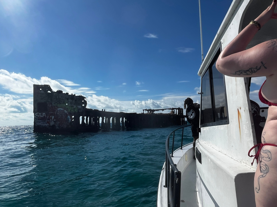 Neal Watson's Bimini Scuba Center-Alice Town必去景点