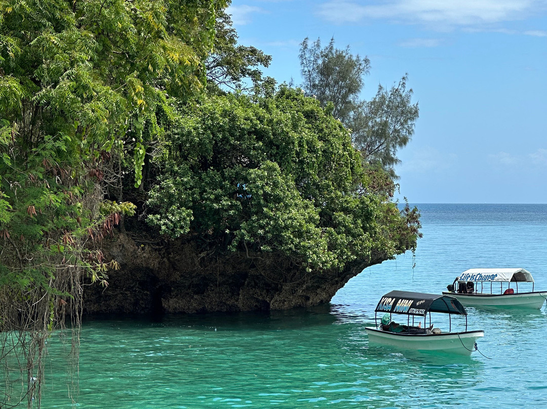 Prison Island - Changuu Private Island-石头城必去景点