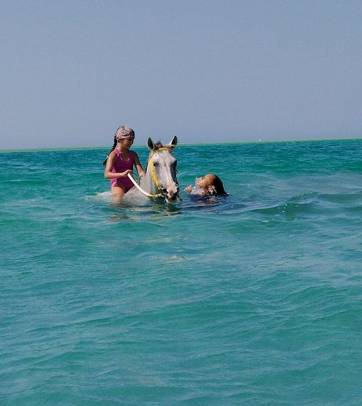 Horse Safari Hurghada-赫尔格达必去景点