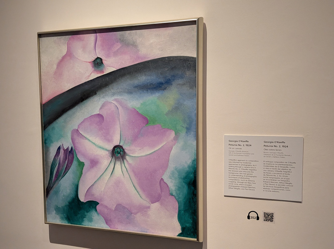Georgia O'Keeffe Museum-圣菲必去景点