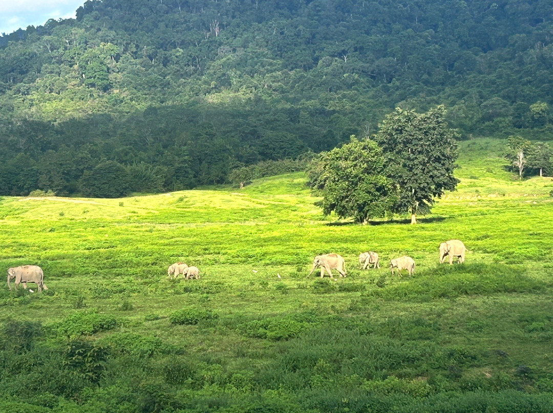 Kui Buri National Park-桂武里必去景点