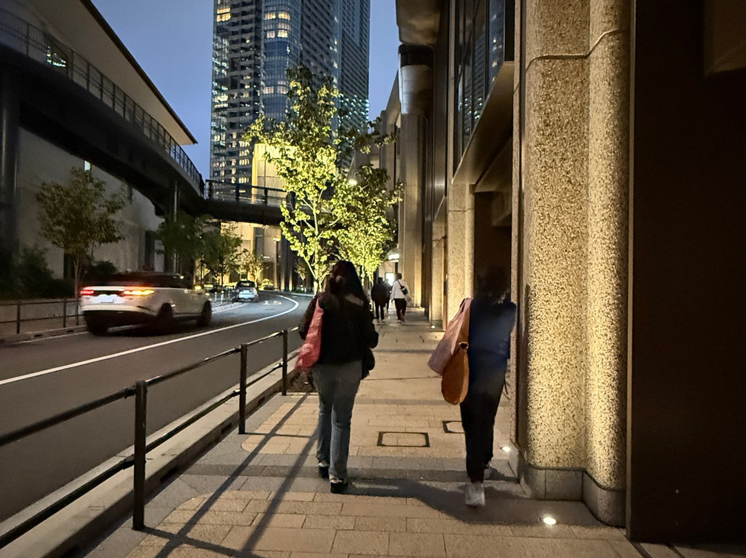Teamlab Borderless Tokyo-港区必去景点