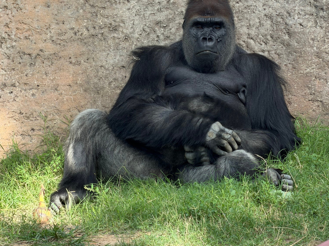 ABQ BioPark Zoo-阿尔伯克基必去景点