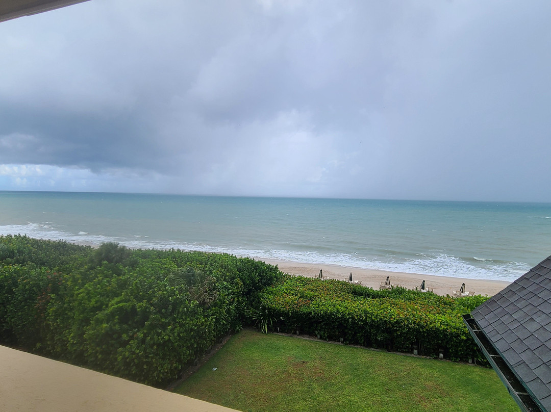 Wabasso Beach Park-维罗海滩必去景点